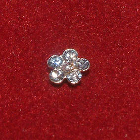 Neuspiercing zirkonia bloem Neuspiercing zirkonia bloem