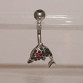 Navelpiercing dolfijntje strass Navelpiercing dolfijntje strass