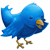 Volg ons op twitter